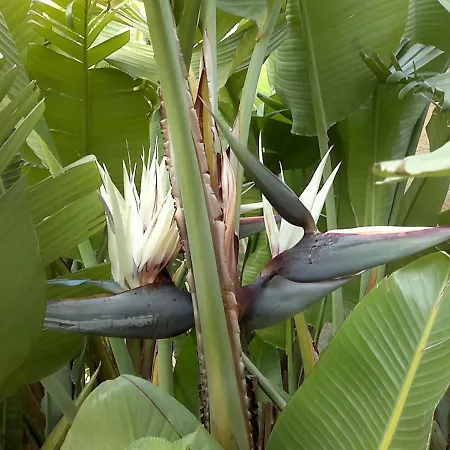 Allegria Natura E Serenita
