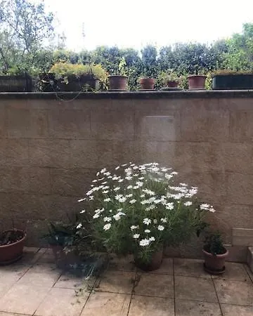 Allegria Natura E Serenita * Cellamare